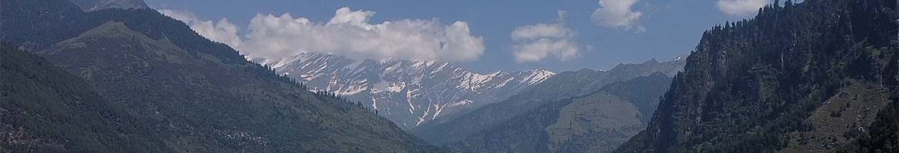 Hotels In Manali